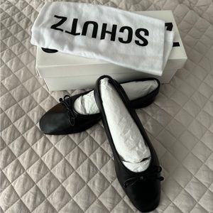 Schutz Arissa flats - BNWT